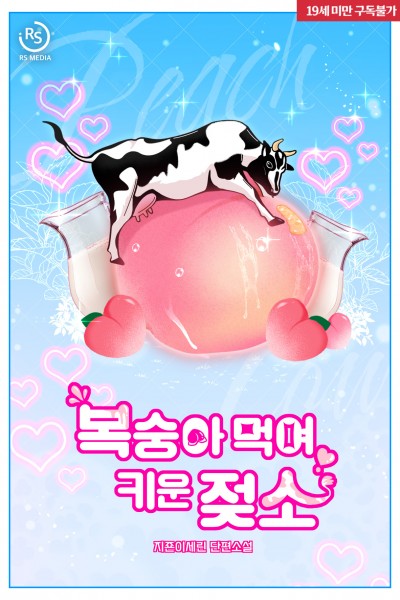복숭아 먹여 키운 젖소♥